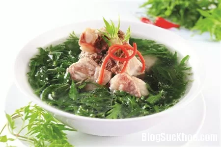 Đinh lăng chữa ho, thanh nhiệt, lợi tiểu