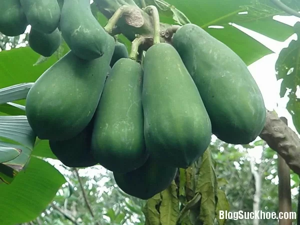 3 bài thuốc dân gian chữa sỏi thận hiệu quả