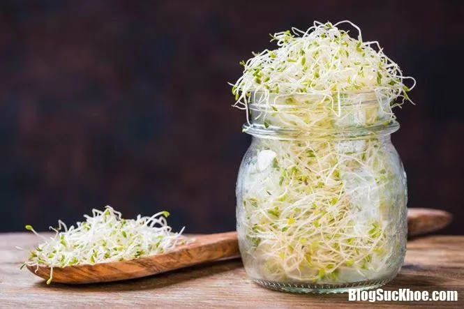 Các thực phẩm nấu mà không chín kỹ thành 'thuốc độc' cho cơ thể