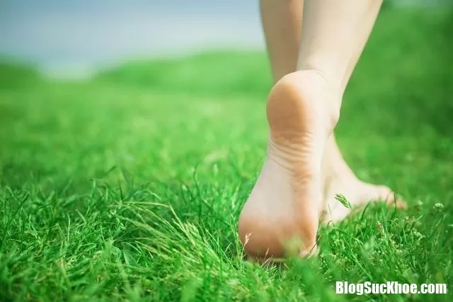 Những lợi ích không thể ngờ khi bạn đi bộ bằng chân trần