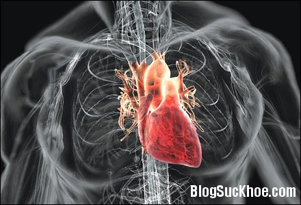 benh tim Nguyên nhân các bệnh về tim mạch
