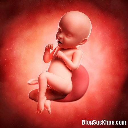 be13 12 điều ảnh hưởng đến sức khỏe của thai nhi