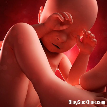 be9 12 điều ảnh hưởng đến sức khỏe của thai nhi