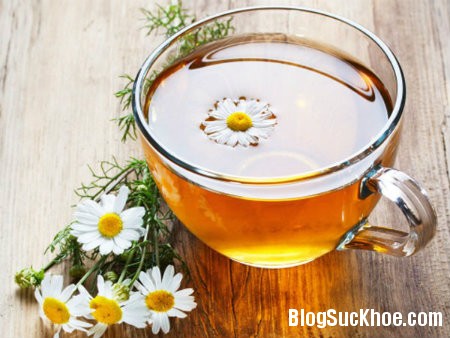 hoa cuc 6 loại trà tốt cho sức khỏe 