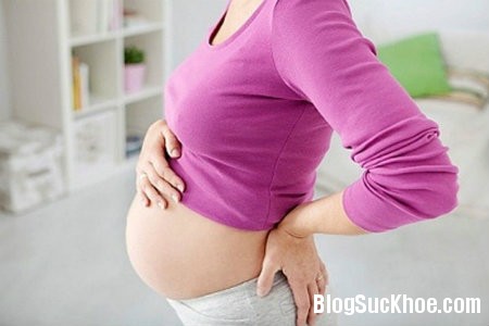 bau1 Phương pháp giúp mẹ bầu giảm đau lưng khi mang thai