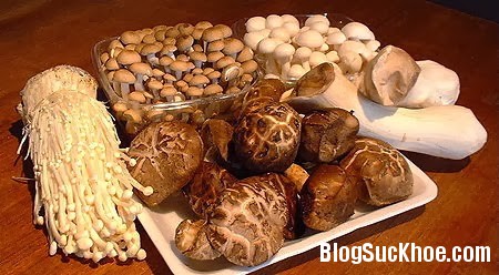 medicinal mushrooms Những loại thực phẩm giúp bạn chống lại ung thư