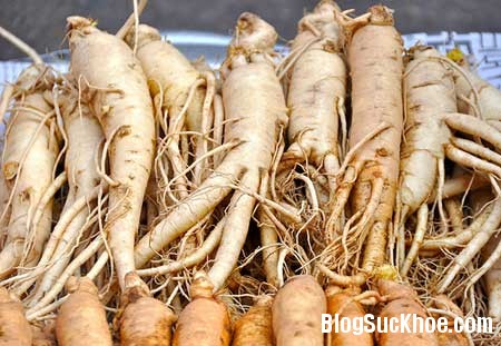 sam Bài thuốc chữa phụ nữ hiếm muộn, vô sinh