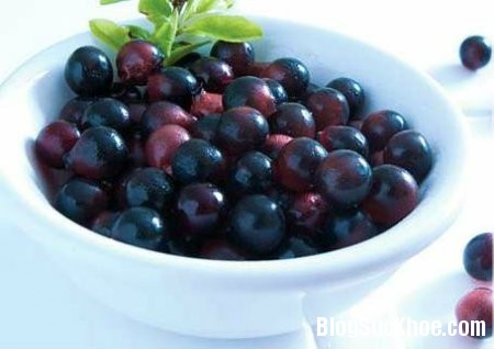 acai berry Acai berry mang lại nhiều lợi ích sức khỏe