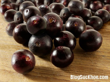 berry Acai berry mang lại nhiều lợi ích sức khỏe