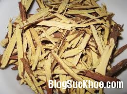 cam th%E1%BA%A3o Cùng tìm hiểu Bệnh Béo Phì   Nguyên nhân   Phương pháp điều trị của Đông y (Phần 4)