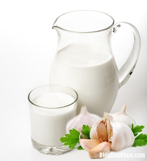 1194 Sữa tỏi, món thuốc lạ phục hồi sức khỏe trong ngày hè