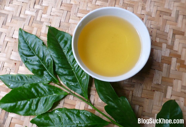 148 Những loại trà thảo mộc giúp giảm đau đầu nhanh chóng