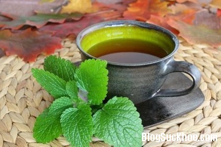 150 Những loại trà thảo mộc giúp giảm đau đầu nhanh chóng