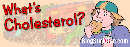 1 Cholesterol là gì?