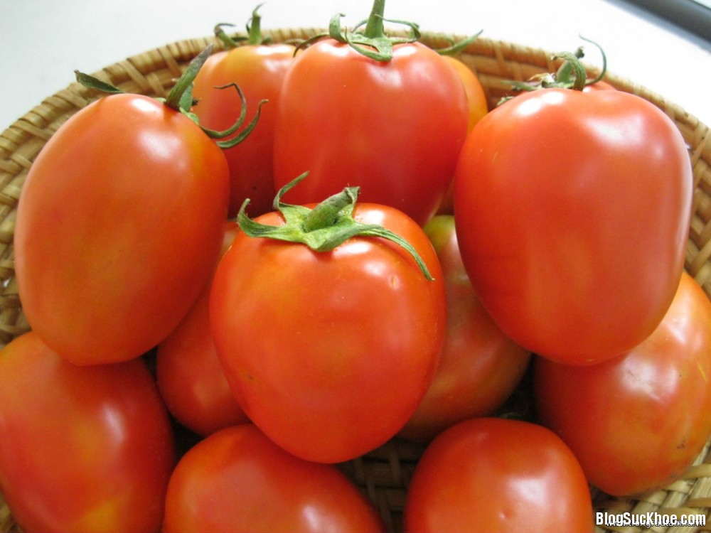 1304 Điều cấm kỵ khi chế biến cà chua chị em nội trợ cần biết