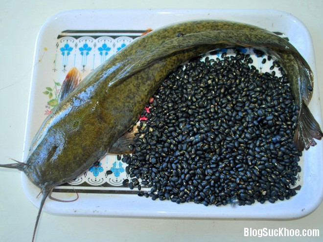 163 Cá trê + đậu đen: Món ăn dành cho mọi quý ông