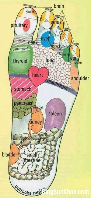 197 Phương pháp massage bàn chân giúp chữa bệnh