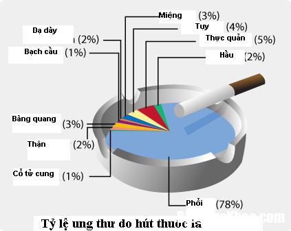 ty le ung thu do hut thuoc Thủ phạm hàng đầu gây ung thư phổi chính là thuốc lá