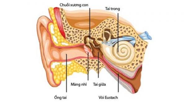 thuoc chua viem tai giua1 Những triệu chứng của bệnh viêm tai giữa