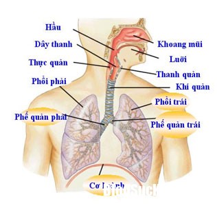 45513PMho hap Các biện pháp khắc phục chứng ho ban đêm