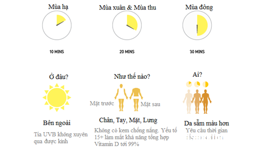 vitamin d tu anh nang mat troi pgcy Những thực phẩm nào chứa nhiều vitamin D nhất ?