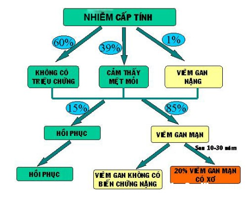 So do nhiem sieu vi viem gan C 1819 2194 1500862111 Viêm gan C tuy không có triệu chứng rõ ràng nhưng có thể dẫn tới xơ gan, ung thư gan