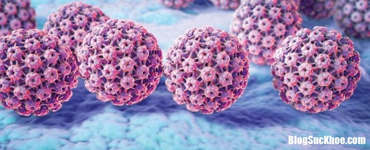 virus hpv Virus HPV thầm lặng mà giết chết hàng trăm phụ nữ