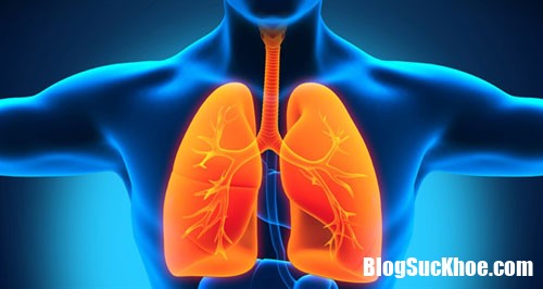 20170801121746 tran khi mang phoi Nguyên nhân và cách điều trị bệnh tràn khí màng phổi