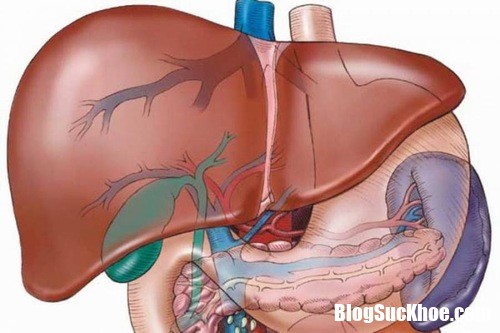 91d9a82857a0133df5f3c0af1b5d8191 Những biến chứng nguy hiểm của bệnh gan