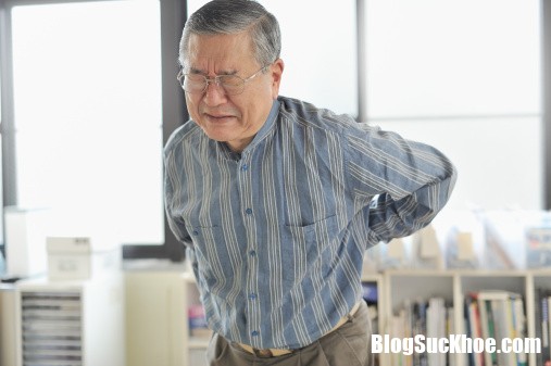 bfcDaulungonguoigia Tìm hiểu những thông tin về bệnh đau lưng ở người già