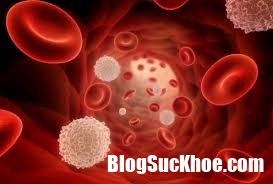 index 6 Tìm hiểu về bệnh ung thư máu