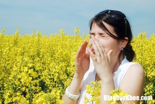 phan hoa thu pham gay viem mui di ung dang so nhat Nguyên nhân và cách phòng tránh viêm mũi dị ứng