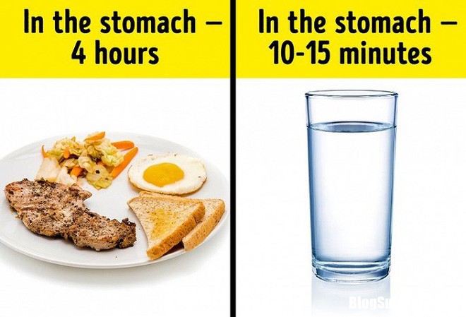 photo 1 15318227969391709847382 Có nên uống nước trong khi ăn hay không?