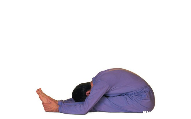 photo 1 15319748083521843057205 8 bài tập Yoga giúp tăng số lượng tinh trùng ở nam giới