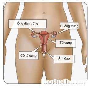 tinngan 092017 717351512 1 Câu hỏi thường gặp về căn bệnh Chlamydia khi quan hệ tình dục