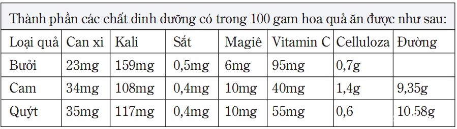 tinngan 081743 562589817 1 Bưởi, cam, quýt có giá trị gì đối với sức khỏe ?