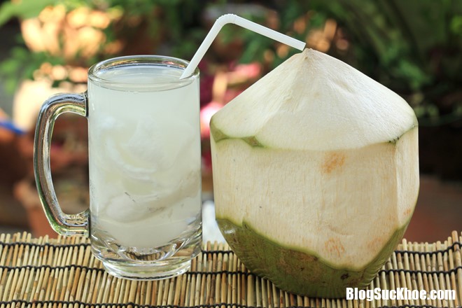 coconutwaterkefir 2019 02 16 10 26 Những thắc mắc phổ biến nhất về căn bệnh sốt xuất huyết