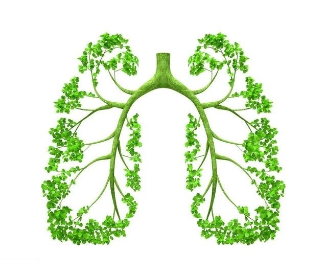 ho hap sau 1 095004458 Hướng dẫn cách hô hấp sâu để có lá phổi khỏe mạnh