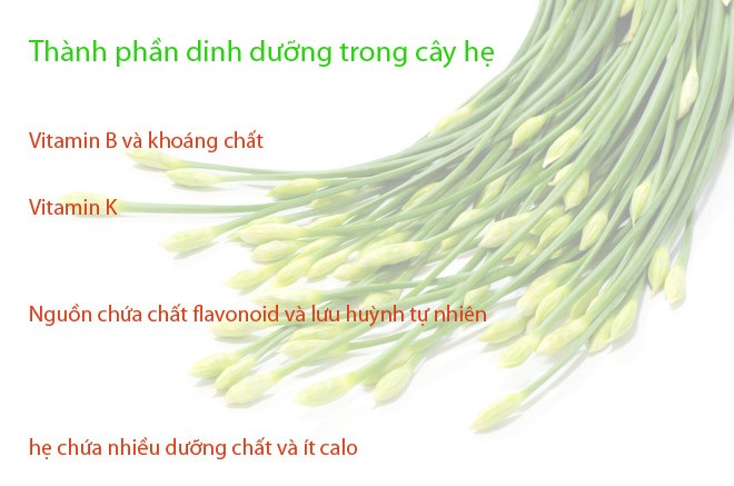 cayhe Đây chính là lý do mà bạn nên ăn rau hẹ thường xuyên