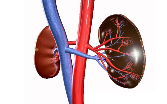 than Cách kiểm tra xem có bị bệnh thận hay không: Chỉ vài 1 phút và 1 ly nước sạch mà thôi