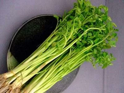 Rau cần có thể chữa trị 17 chứng bệnh khác nhau