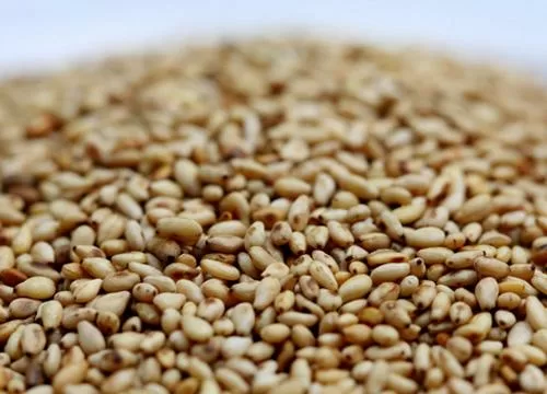 Những loại thực phẩm tốt nhất giúp chị em có đôi chân thon thả