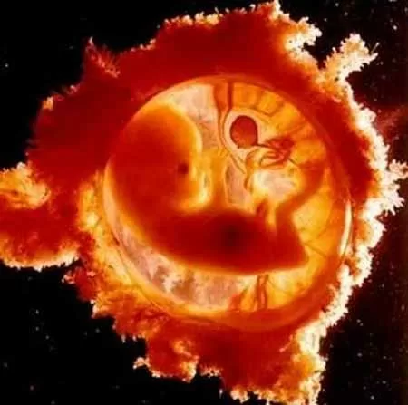 Các chuyên gia y học nói gì về “thuốc thịt người”?