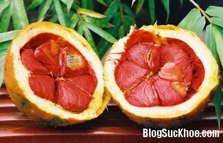 Hiệu quả đẹp da và chữa bệnh từ quả gấc