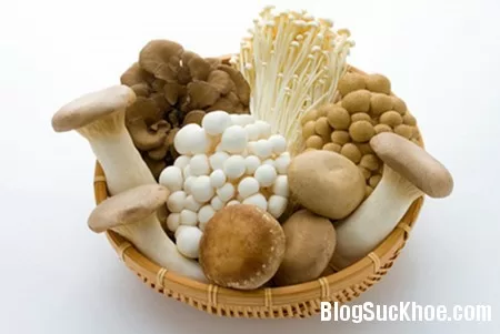 Ích lợi của nấm với sức khỏe