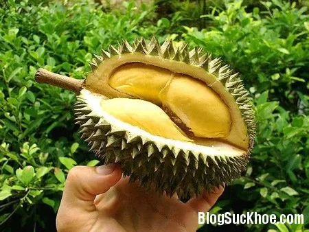 12 công dụng chưa biết của sầu riêng