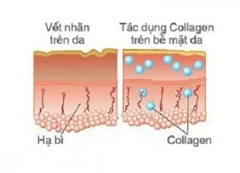 Collagen-nano-tai-tao-da1