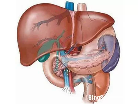 Thực phẩm tốt và không tốt cho người bị gan