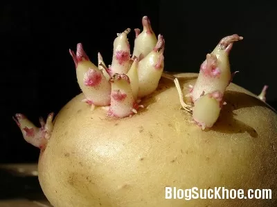 ''Thủ phạm'' trong chế độ ăn có hại cho sức khỏe