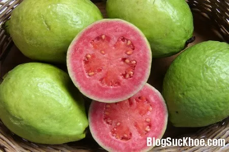 Ổi - Kho dinh dưỡng tuyệt vời